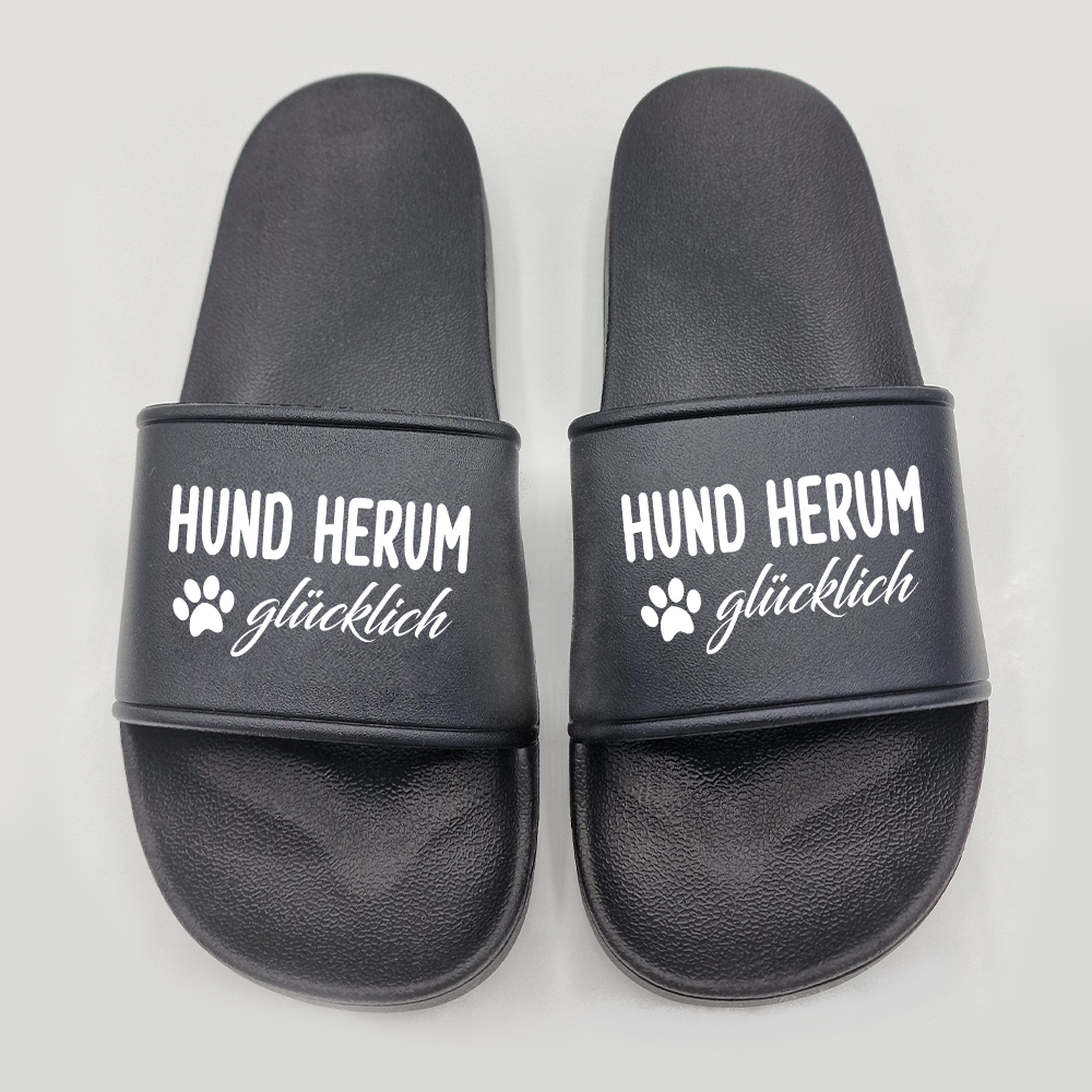 Badeschuhe Hund herum glücklich