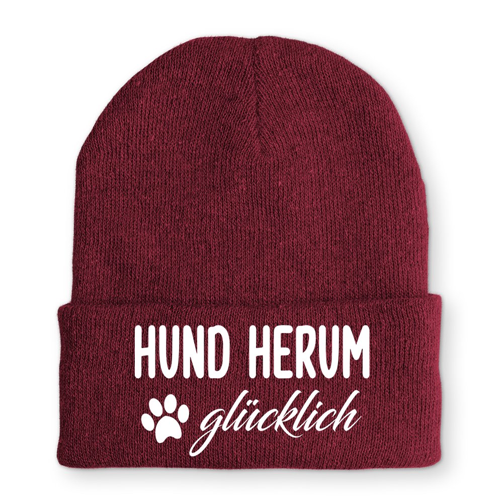 Mütze Hund herum glücklich