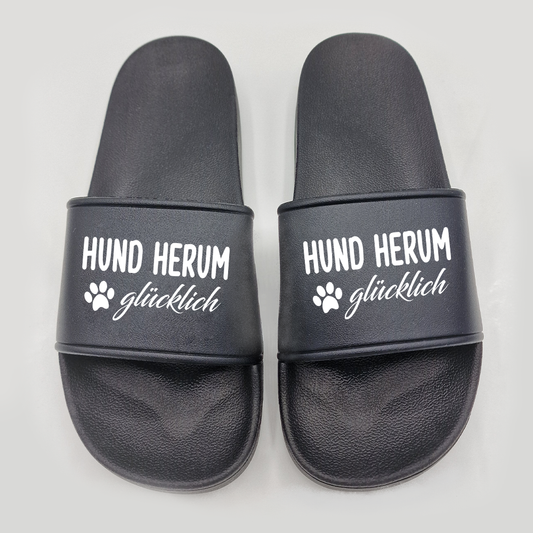 Badeschuhe Hund herum glücklich