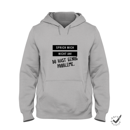 uni-hoodie-grau-sprich-mich-nicht-an-du-hast-genug-probleme